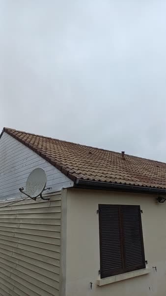 Toiture couverte de mousse avant nettoyage