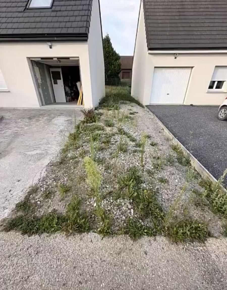 Entrée entre deux maisons envahie par les herbes avant travaux