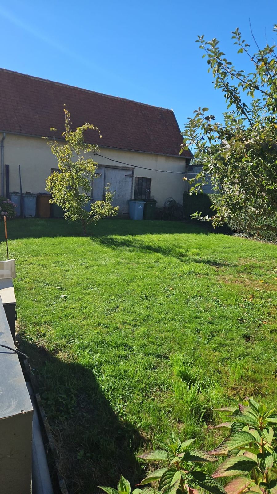 Jardin ouvert avant l'implantation du parc à chien